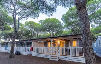 Kemp Orbetello Family Collection