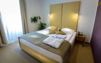Hotel Zdraviliški Dvor