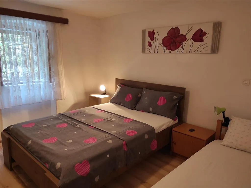 Apartmán City Centar (Branka)