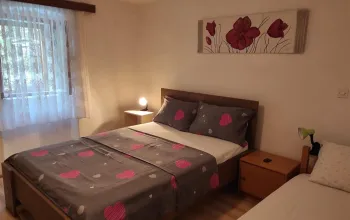 Apartmán City Centar (Branka)