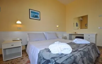 Hotel David