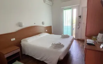 Hotel David