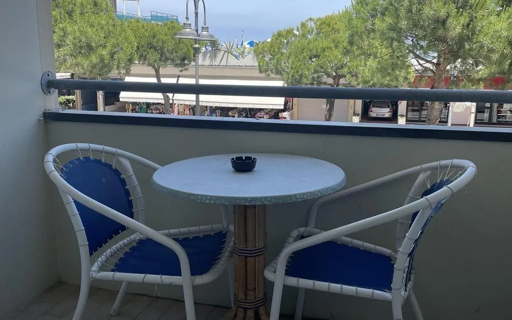 Hotel David