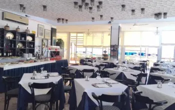 Hotel David