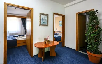 Hotel Dražica