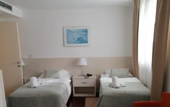 Hotel Borovnik