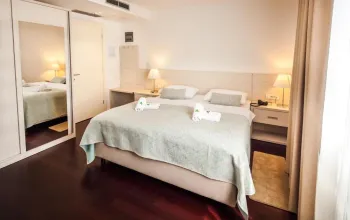 Hotel Borovnik