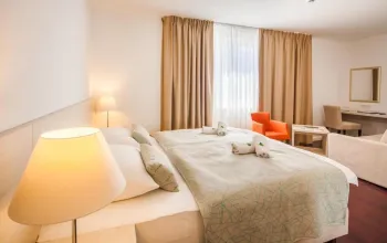 Hotel Borovnik