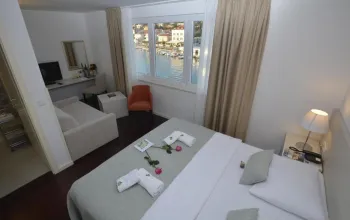 Hotel Borovnik
