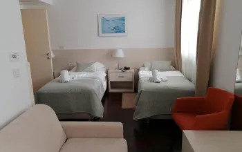 Hotel Borovnik