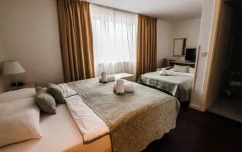 Hotel Borovnik