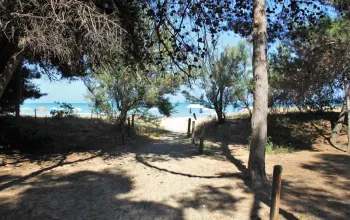 Residence Pinetina