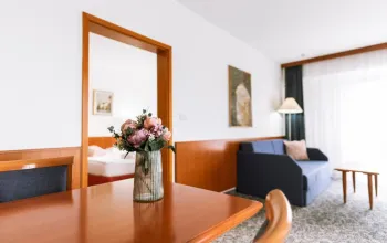 Hotel Toplice