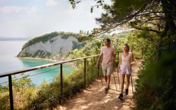 Villy Thalasso Strunjan