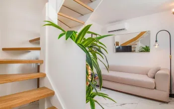 Brown Beach House
