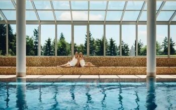 Hotel Forest Videc