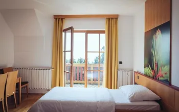 Hotel Forest Videc