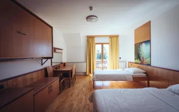 Hotel Forest Videc