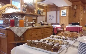 Hotel Alpina