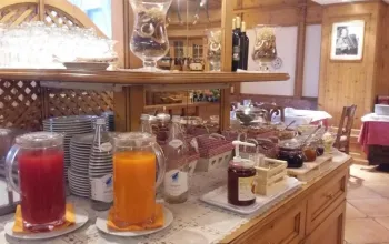 Hotel Alpina