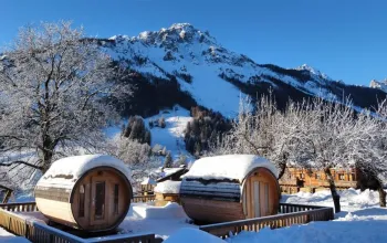 Hotel Posta (Forni di Sopra)