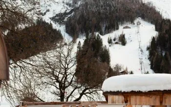Hotel Posta (Forni di Sopra)