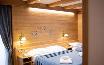 Hotel Posta (Forni di Sopra)