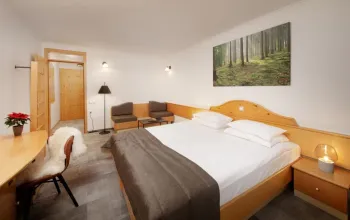 Hotel Planja