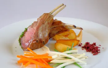 Hotel Planja – Green Holidays