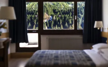 Hotel Regina e Fassa