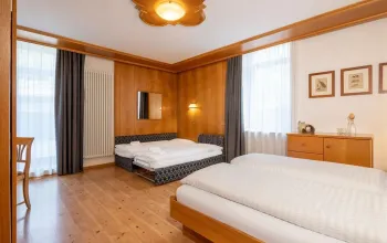 Hotel Vioz