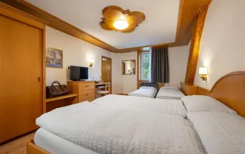 Hotel Vioz