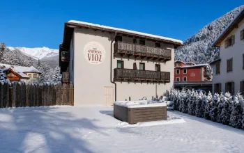 Residence Vioz