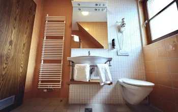 Forest Hotel Videc