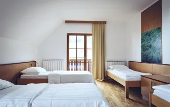 Forest Hotel Videc