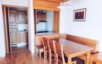 Apartmány Forest Videc