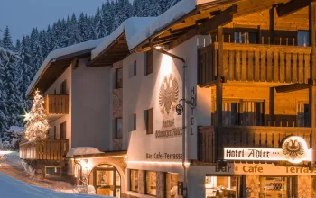 Hotel Adler Carezza