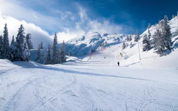 Hotel Splendid
