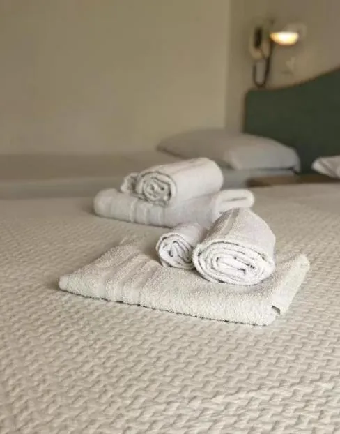 Hotel Artide