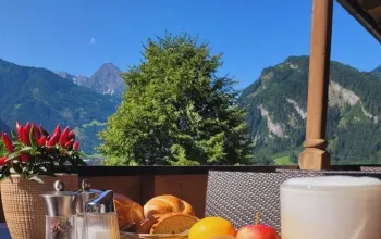 Hotel Pension Eckartauerhof