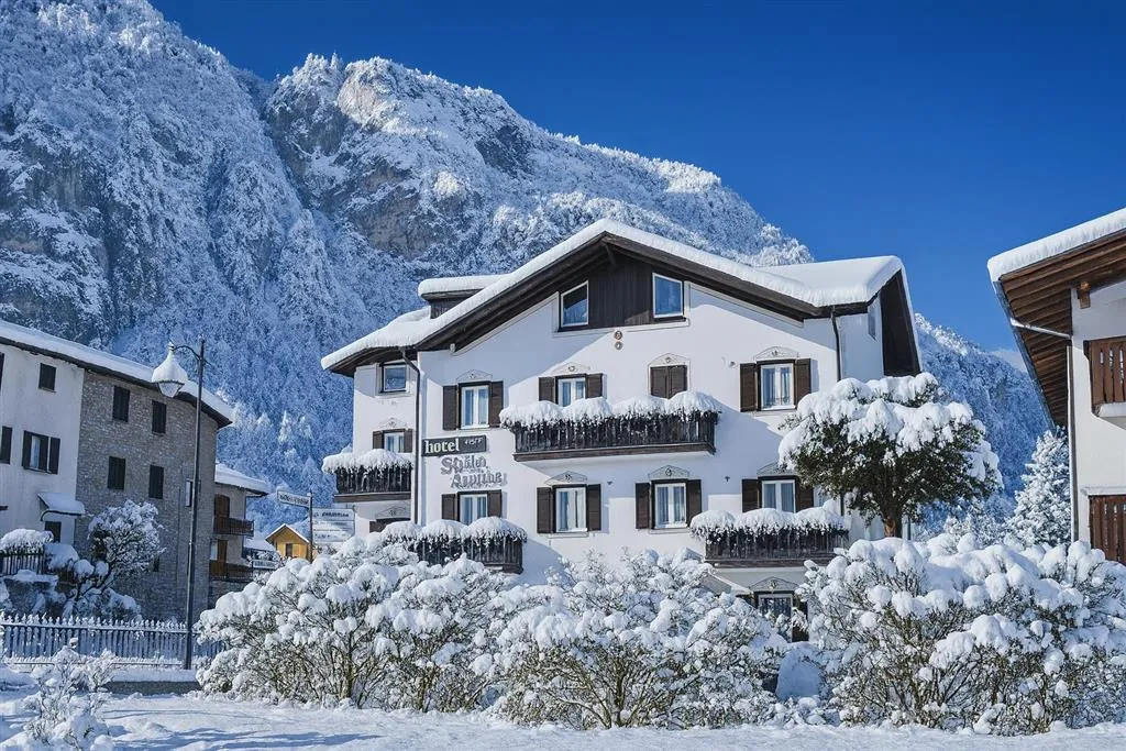 Hotel Stella Alpina