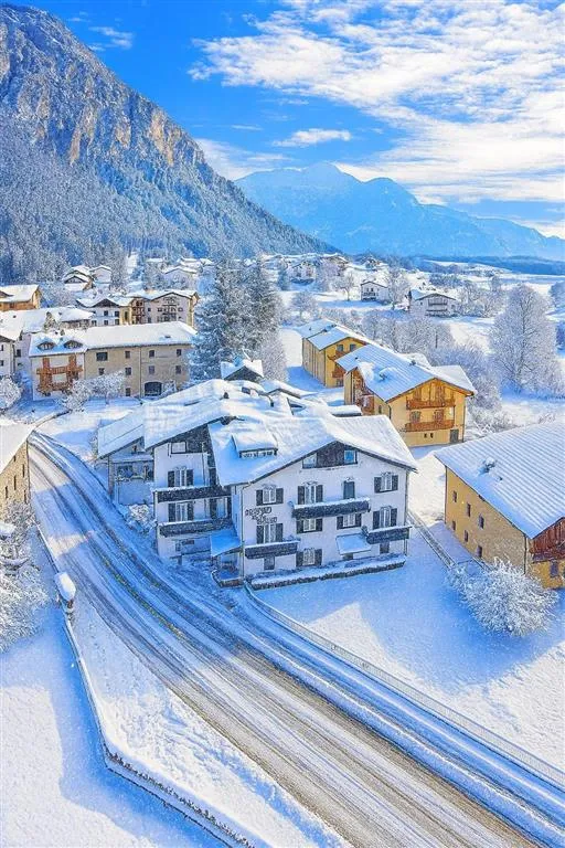 Hotel Stella Alpina