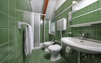 Hotel Stella Alpina