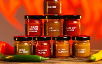 Degustační sada 8 chilli mash omáček