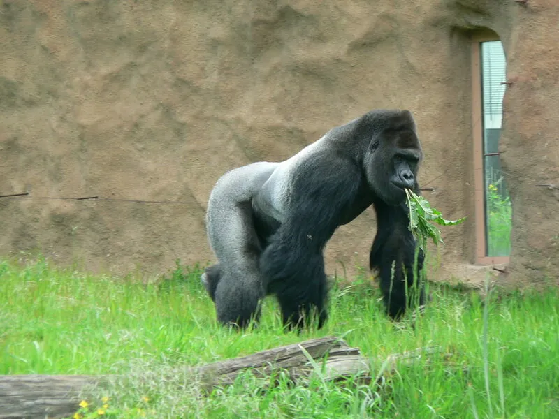 Rodinný pobyt v Tančícím domě s výletem do Zoo Praha