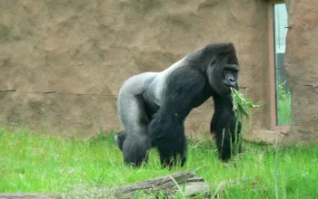 Rodinný pobyt v Tančícím domě s výletem do Zoo Praha