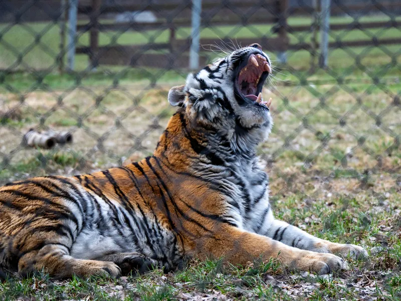 Vstup do Zoo Tábor