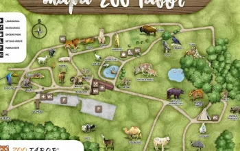 VIP vstup do Zoo Tábor s ošetřovatelem až pro 4 osoby
