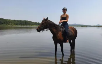 První dobrodružství v sedle pod bezpečným vedením