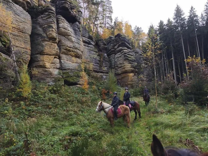 První dobrodružství v sedle pod bezpečným vedením